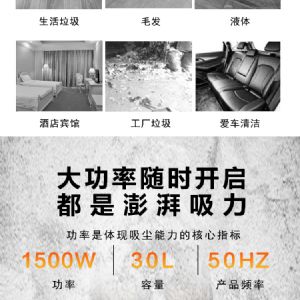 BF501工业吸尘器（新）