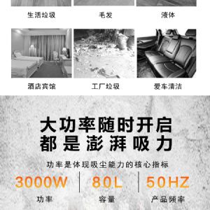 BF585-3工业吸尘器（新）