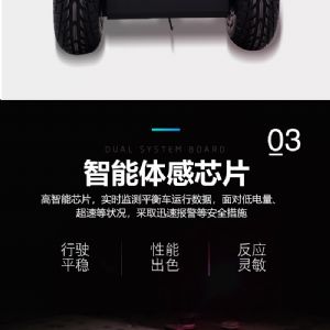 两轮平衡巡逻车